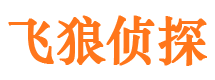 新宁外遇调查取证